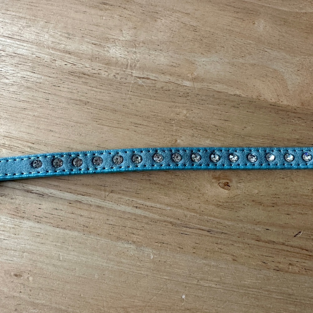 Beautiful Blue Leather Rhinestone Collar
Smoke Free Home
Same/Next Day Shipping